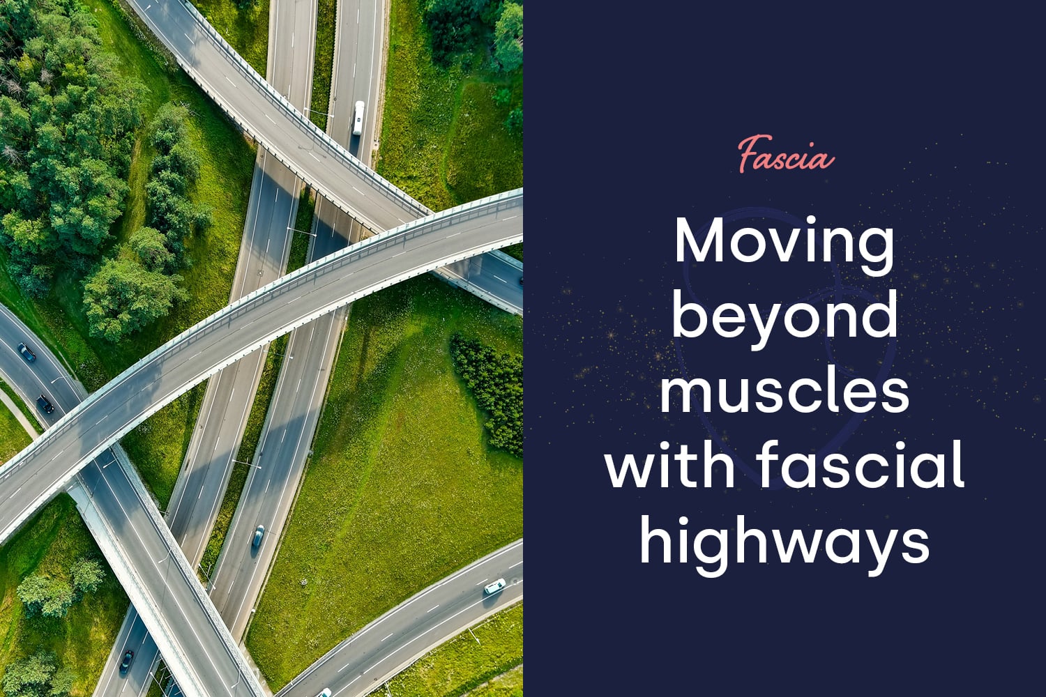Fascial Highways: Moving Beyond Individual Muscles