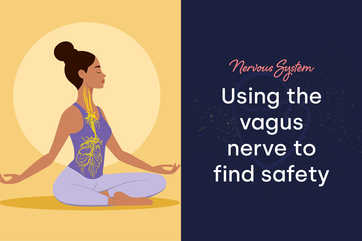 The Vagus Nerve and a Polyvagal Approach to Safety